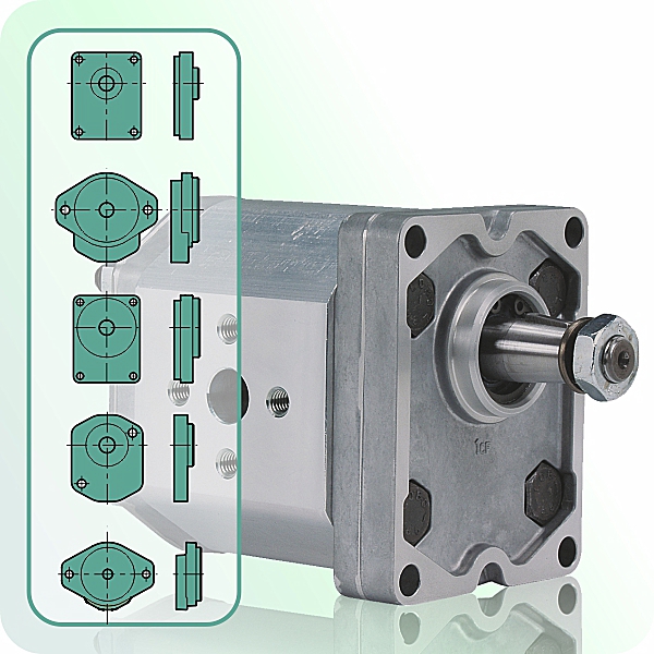 ALM2 series hydraulic gear motor